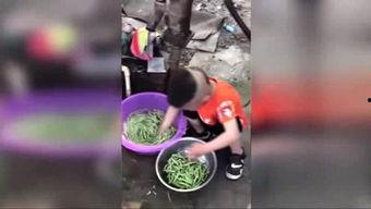 欠登视频,探寻背后真相与启示