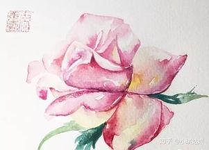 水彩入门视频,跟随视频轻松掌握绘画技巧