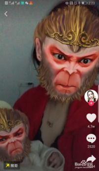 猴哥视频,揭秘猴界奇闻异事，带你领略猴界风采