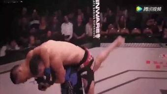 张礼义格斗视频,实战技巧与策略解析