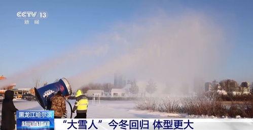 大雪人视频