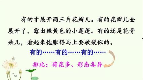 三年级下册教学视频,三年级下册教学视频精彩内容概览